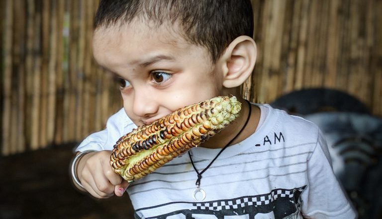 Kind die vegetariër is geworden en maïs eet
