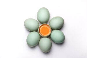 een bloem van eieren die symbool staan voor de ovulatie, ofwel eisprong