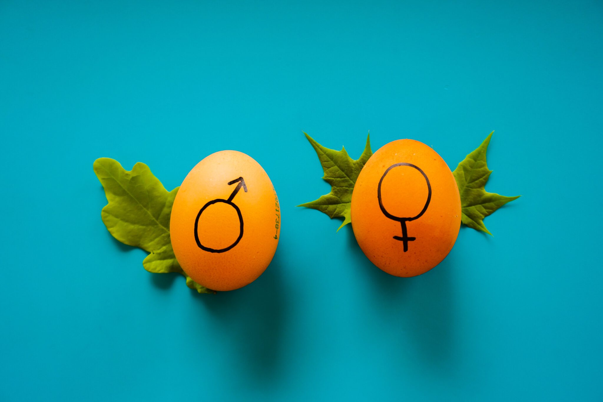 twee eitjes met tekening voor geslacht vrouw en man, wat symbool staat voor het voorspellen van het geslacht van je baby