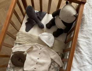 De Babyuitzet van Gina