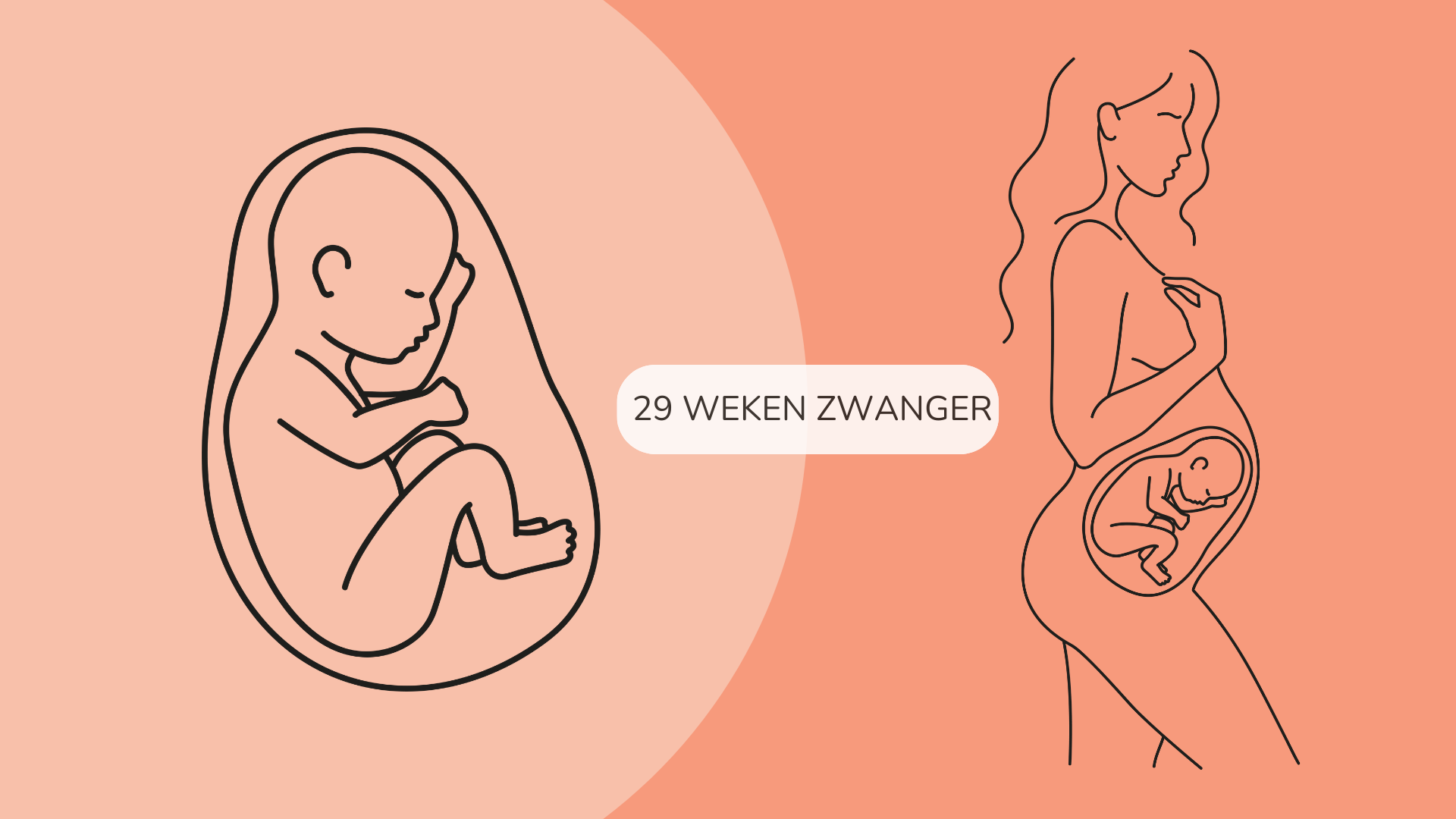 29 weken zwanger