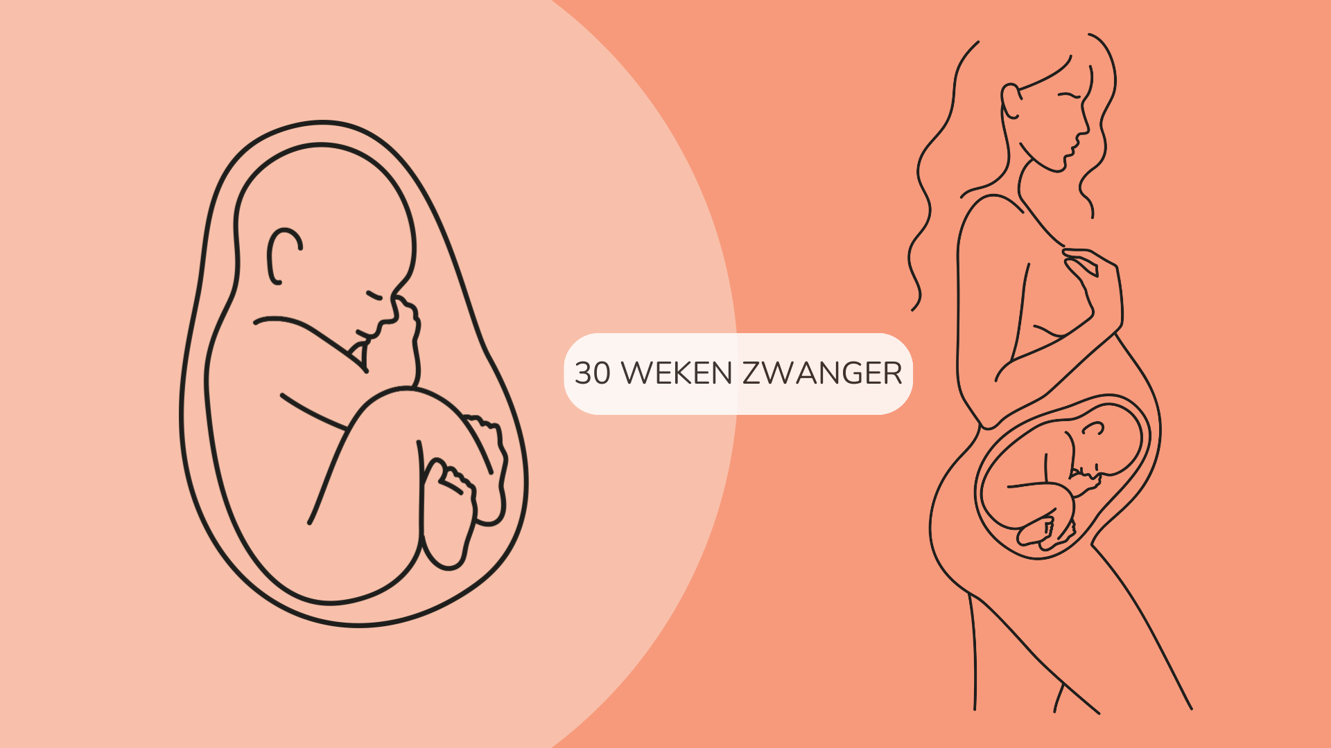 30 weken zwanger