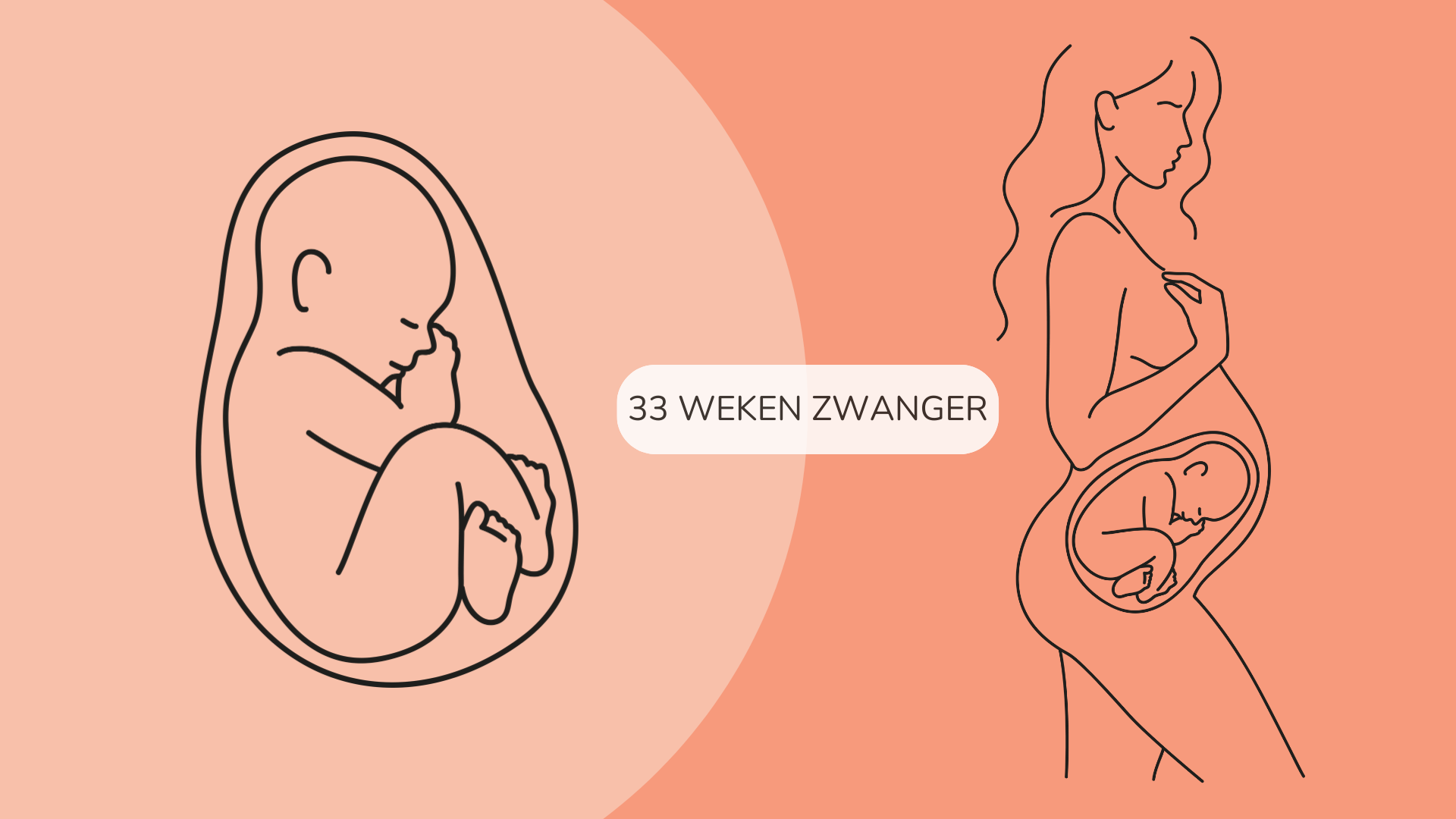 33 weken zwanger